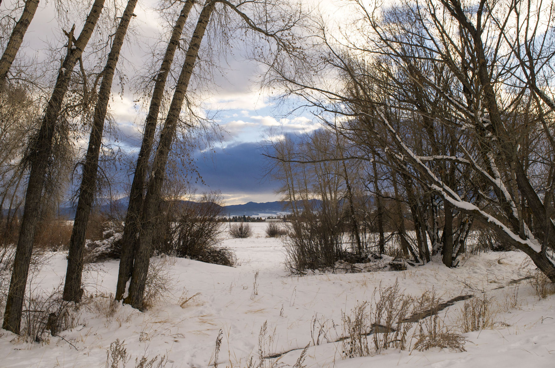 Snow-covered Skyline Park